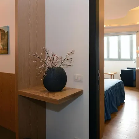 苏西大都会酒店 酒店 科莫