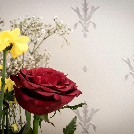 苏西大都会酒店 4*