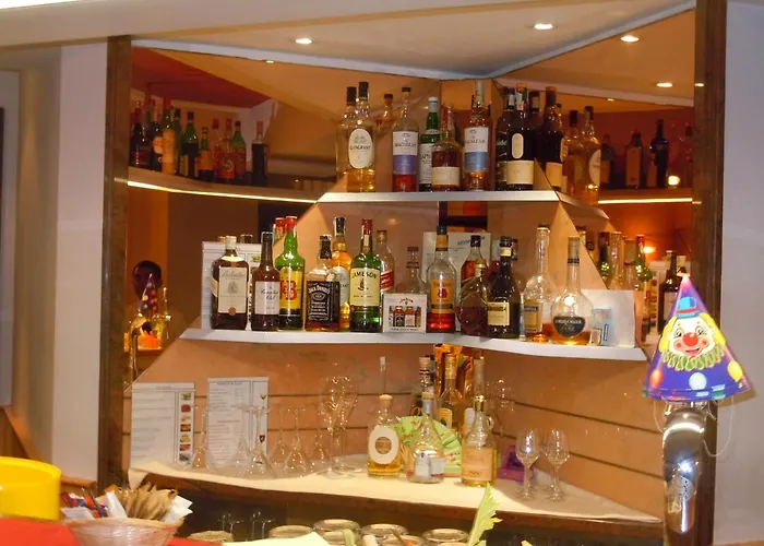 酒店 苏西大都会酒店 4*