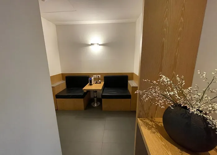 酒店 苏西大都会酒店 4*